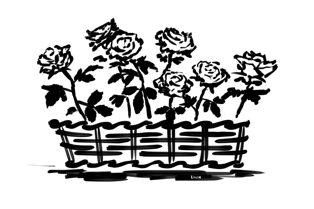 Rosen in einem Blumenkasten